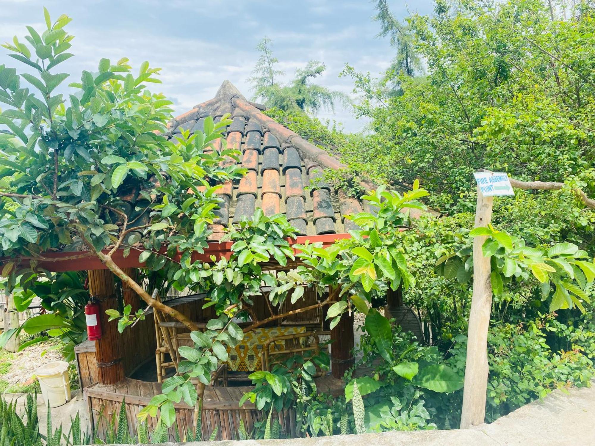 Kivu Macheo Eco-Lodge Kibuye المظهر الخارجي الصورة